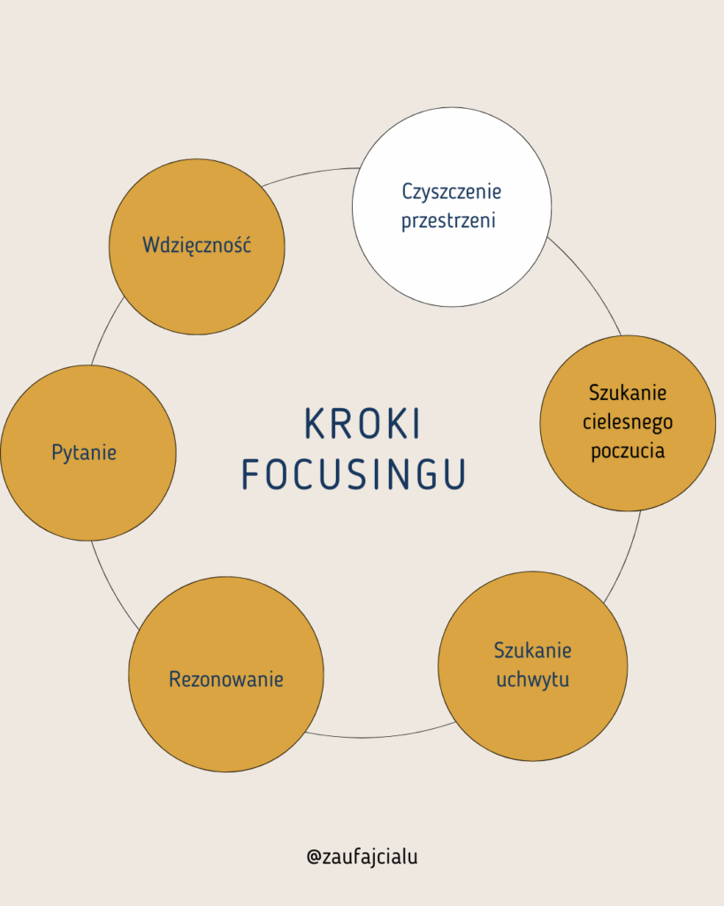 6 Kroków Focusingu