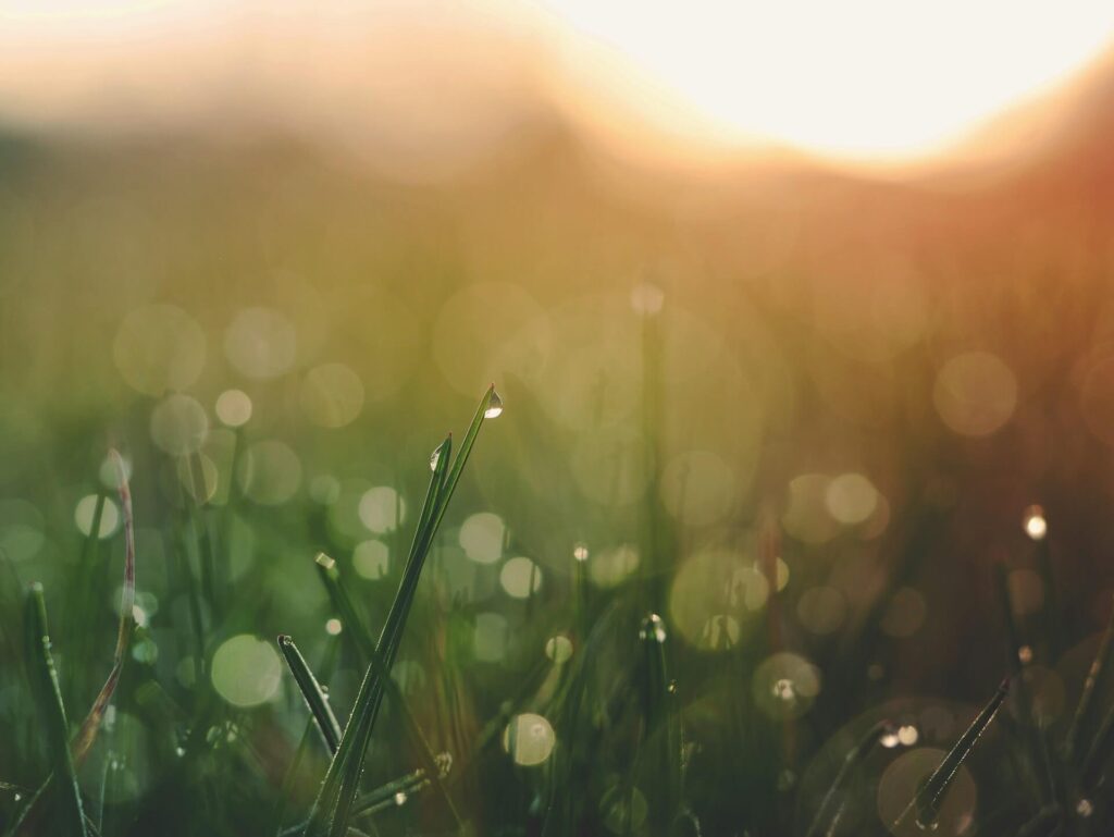 poranny_focusing-zaufaj-cialu