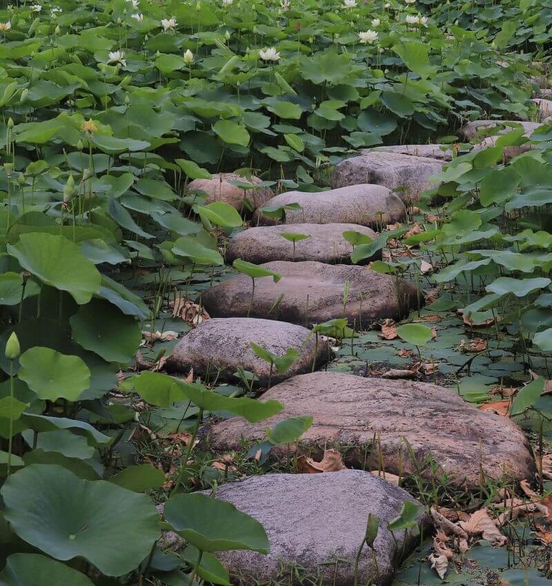 zaufalnia online zaufajcialu